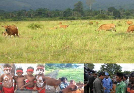 Kunjungan Kerja Menteri Pertanian RI Di Provinsi Papua Barat 26-28 November 2011